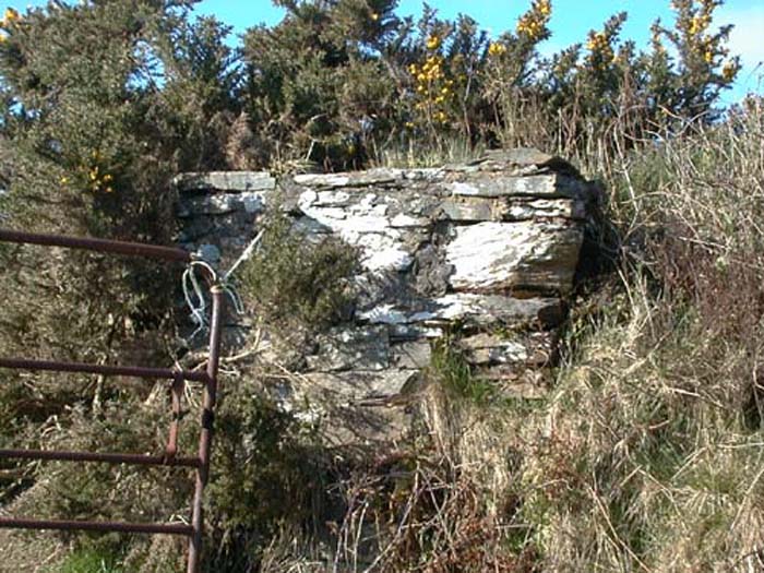 Old house wall on old Boulteen road.jpg 103.8K